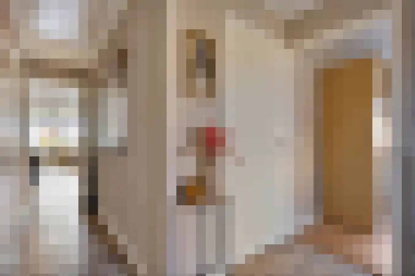 Oude Hoevenweg 5 Vriezenveen thumbnail 30