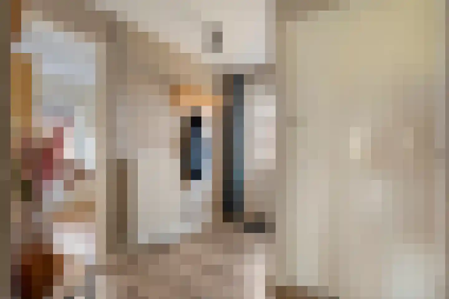 Oude Hoevenweg 5 Vriezenveen thumbnail 31