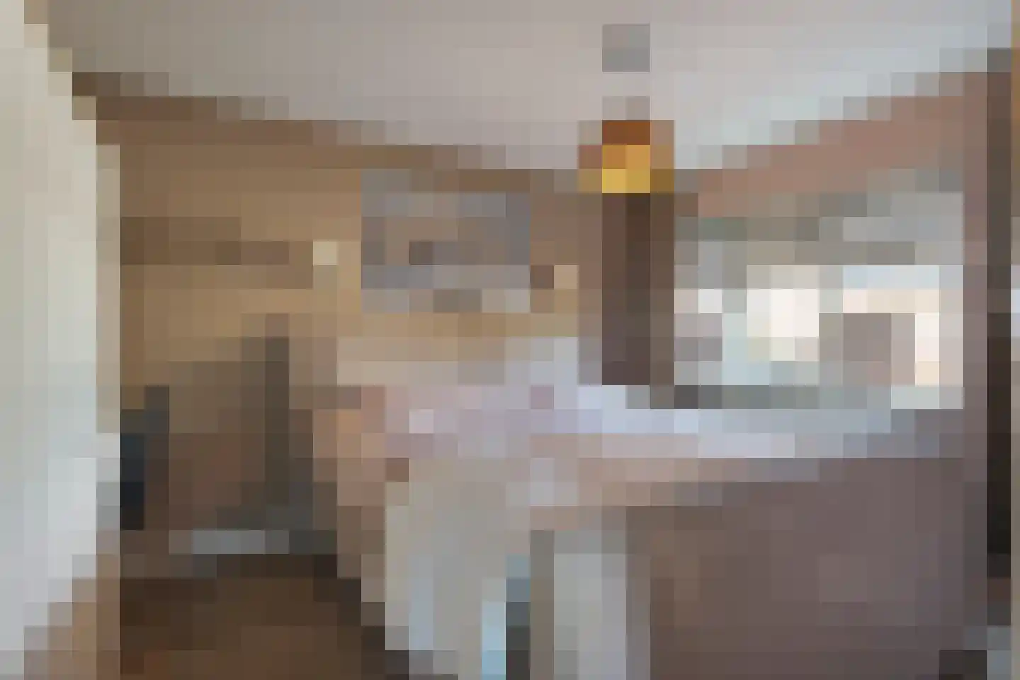 Oude Hoevenweg 5 Vriezenveen thumbnail 32