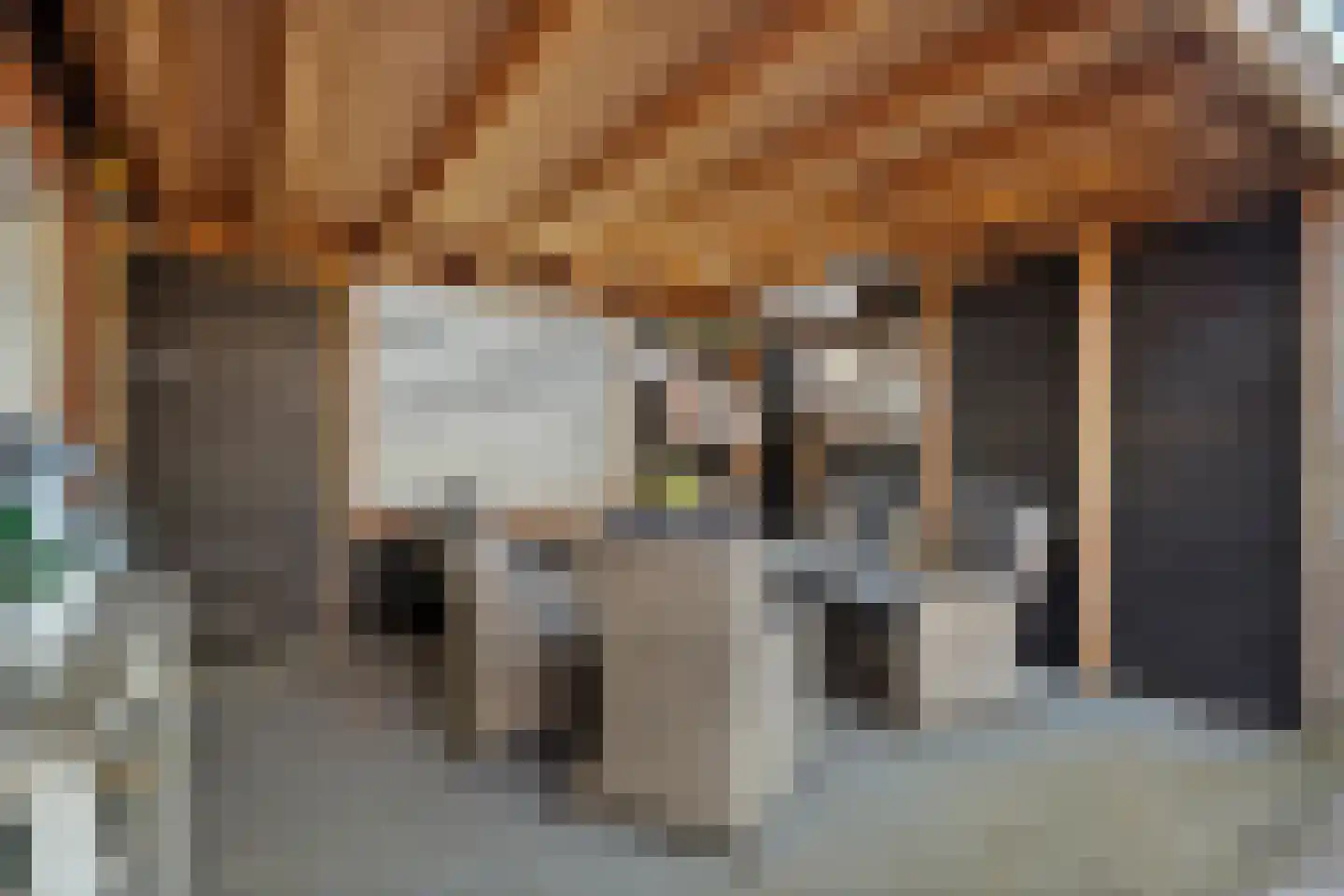 Oude Hoevenweg 5 Vriezenveen thumbnail 44