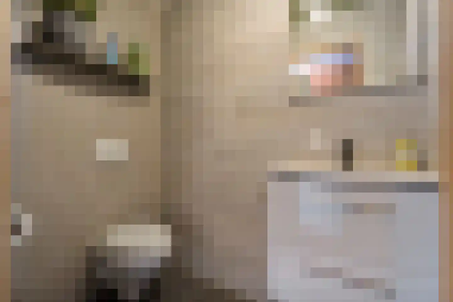 Oude Hoevenweg 5 Vriezenveen thumbnail 47