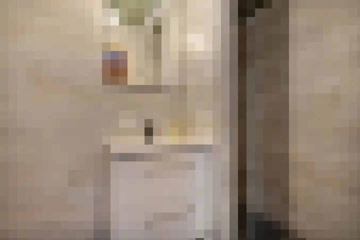 Oude Hoevenweg 5 Vriezenveen thumbnail 48