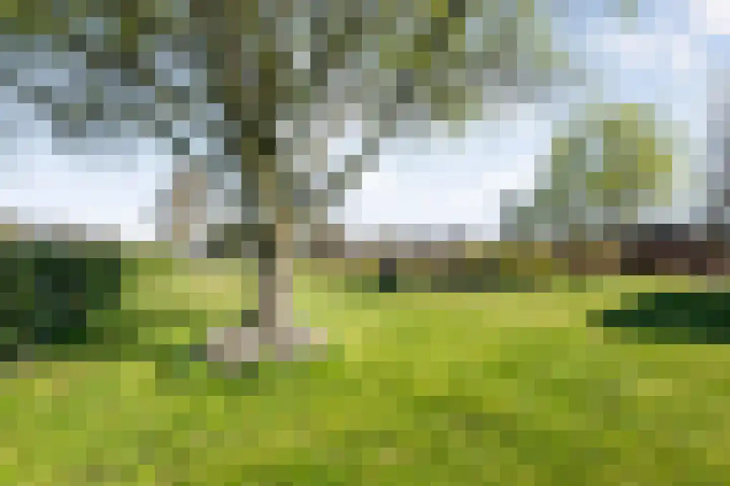 Oude Hoevenweg 5 Vriezenveen thumbnail 54