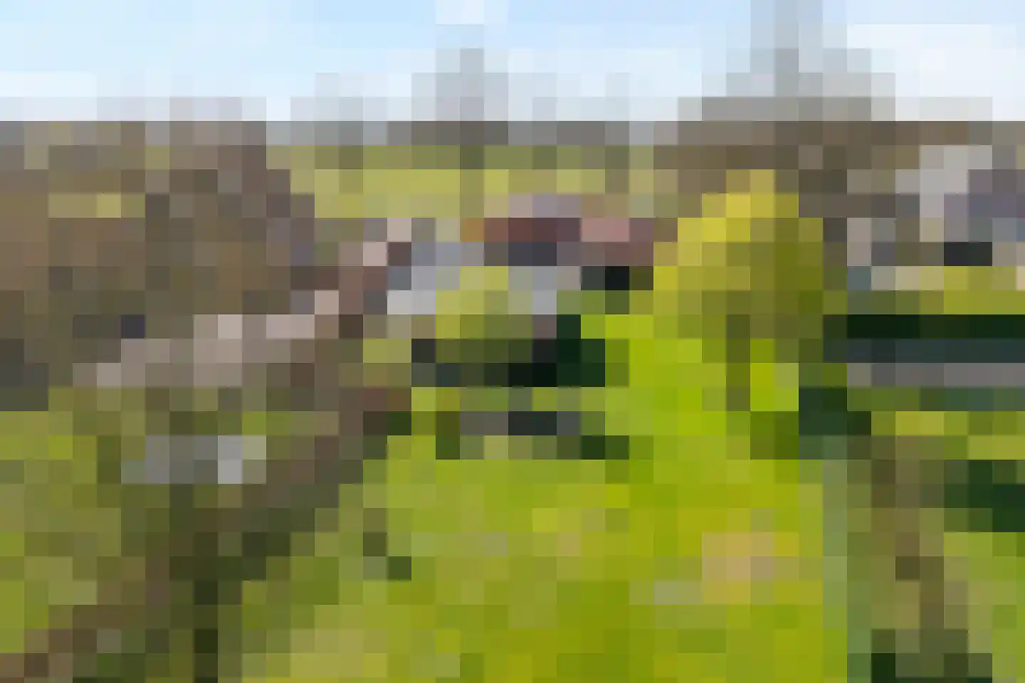 Oude Hoevenweg 5 Vriezenveen thumbnail 6