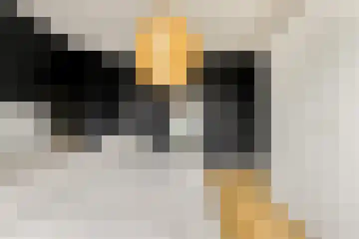 Oude Hoeverweg 31 Alkmaar thumbnail 17