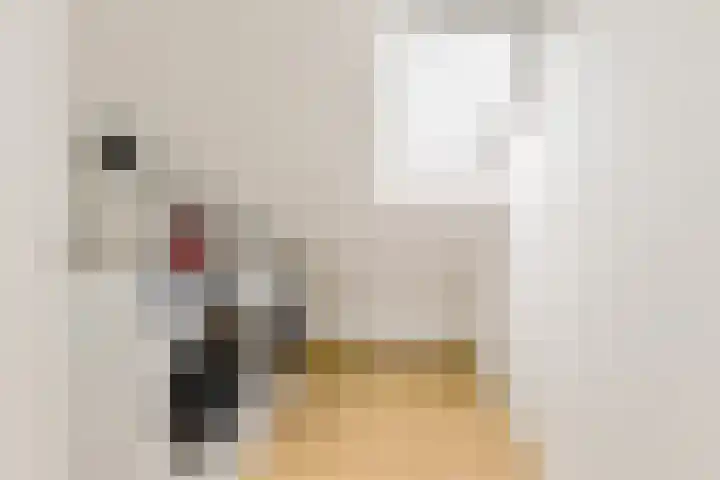 Oude Hoeverweg 31 Alkmaar thumbnail 27