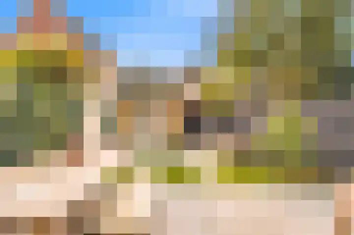 Oude Hoeverweg 31 Alkmaar thumbnail 32