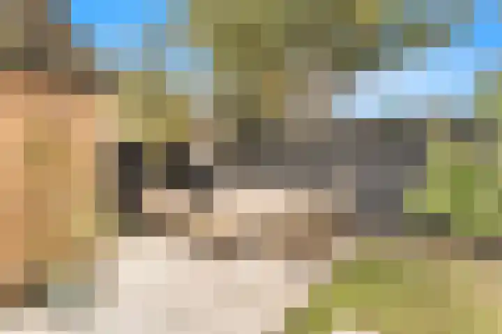 Oude Hoeverweg 31 Alkmaar thumbnail 33