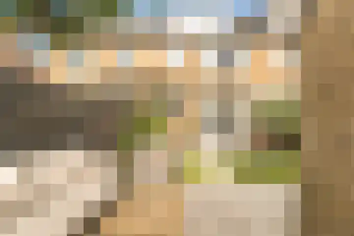 Oude Hoeverweg 31 Alkmaar thumbnail 34