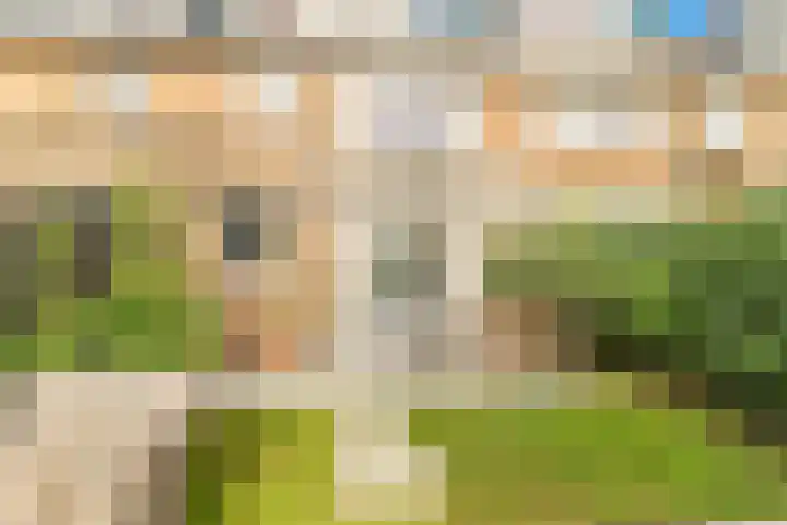 Oude Hoeverweg 31 Alkmaar thumbnail 35