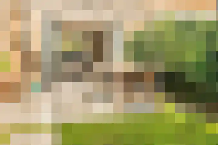 Oude Hoeverweg 31 Alkmaar thumbnail 36