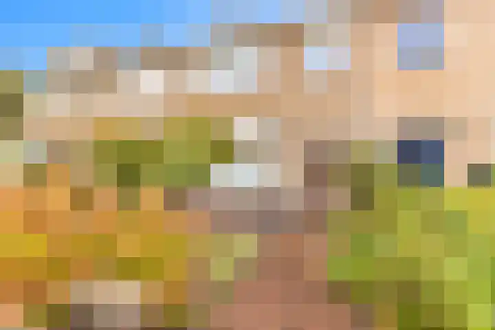 Oude Hoeverweg 31 Alkmaar thumbnail 4