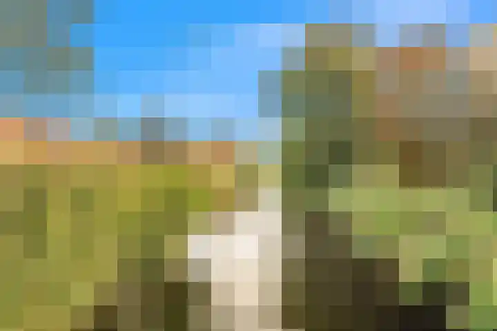 Oude Hoeverweg 31 Alkmaar thumbnail 40