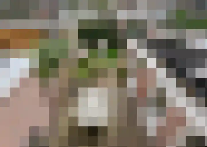 Oude Hoeverweg 41 Alkmaar thumbnail 38