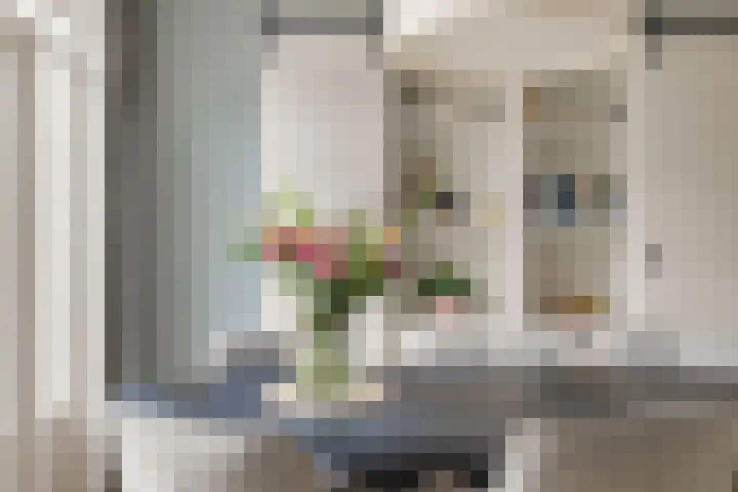 Oude Hoeverweg 43 Alkmaar thumbnail 13