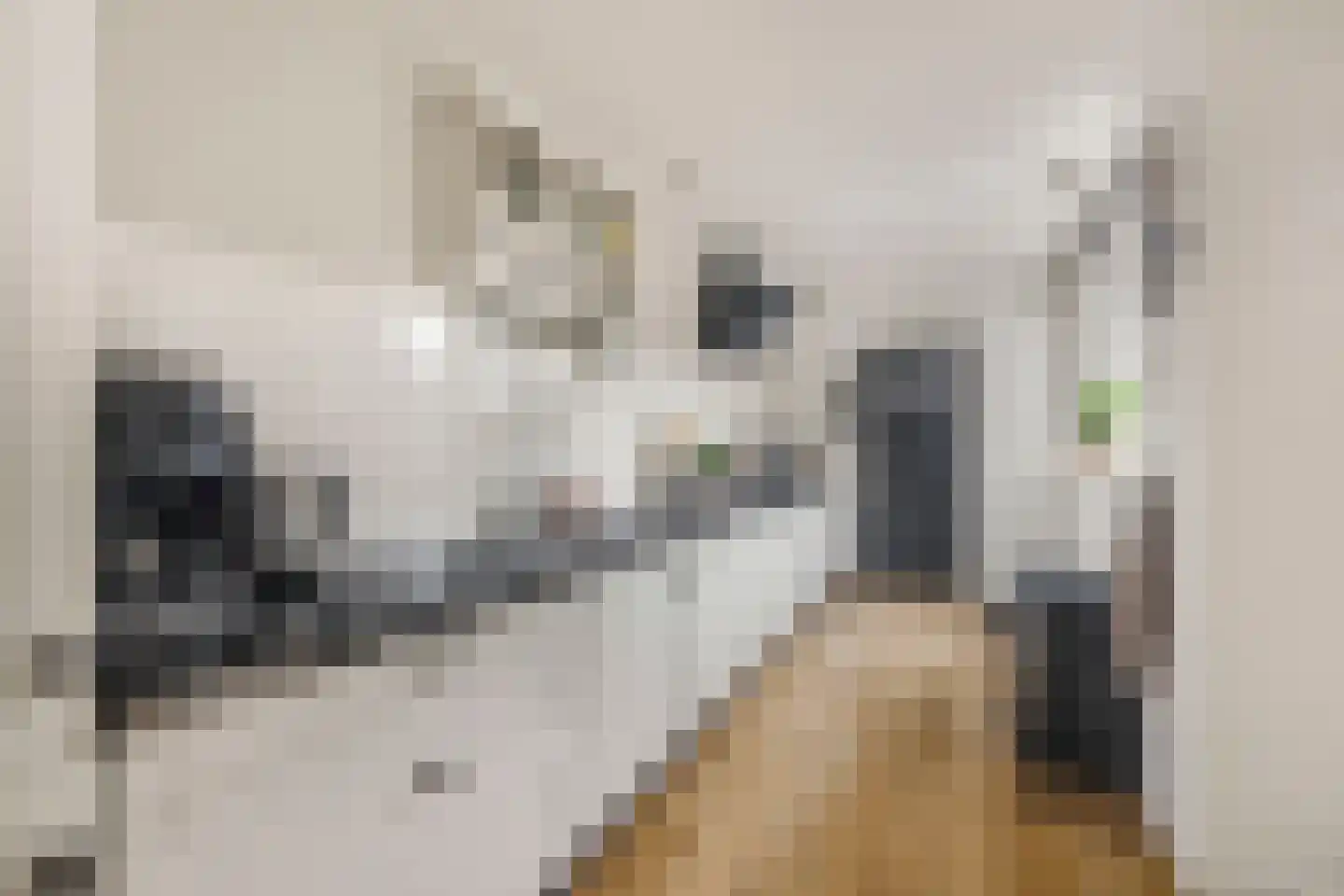 Oude Hoeverweg 43 Alkmaar thumbnail 20