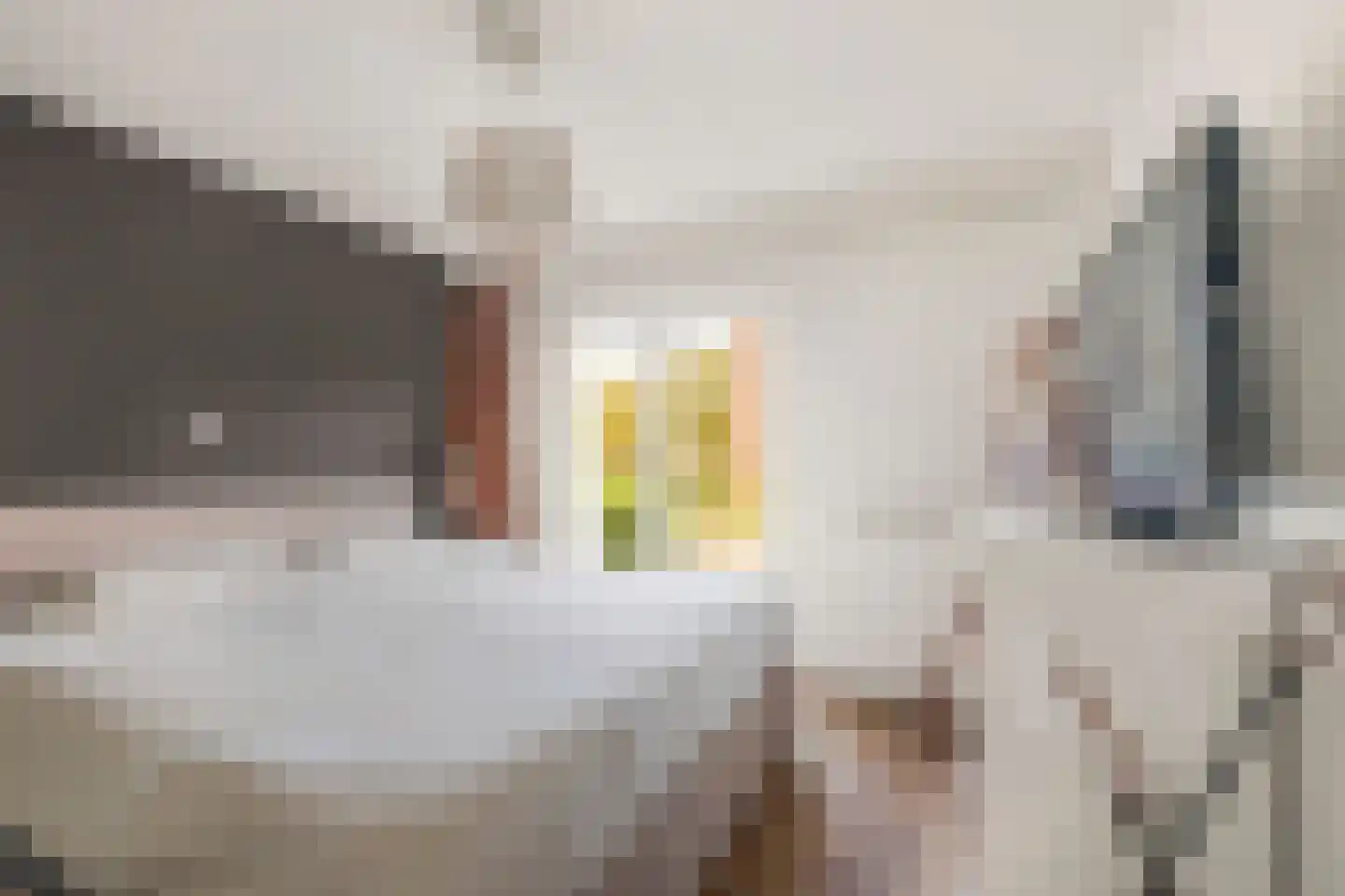 Oude Hoeverweg 43 Alkmaar thumbnail 31