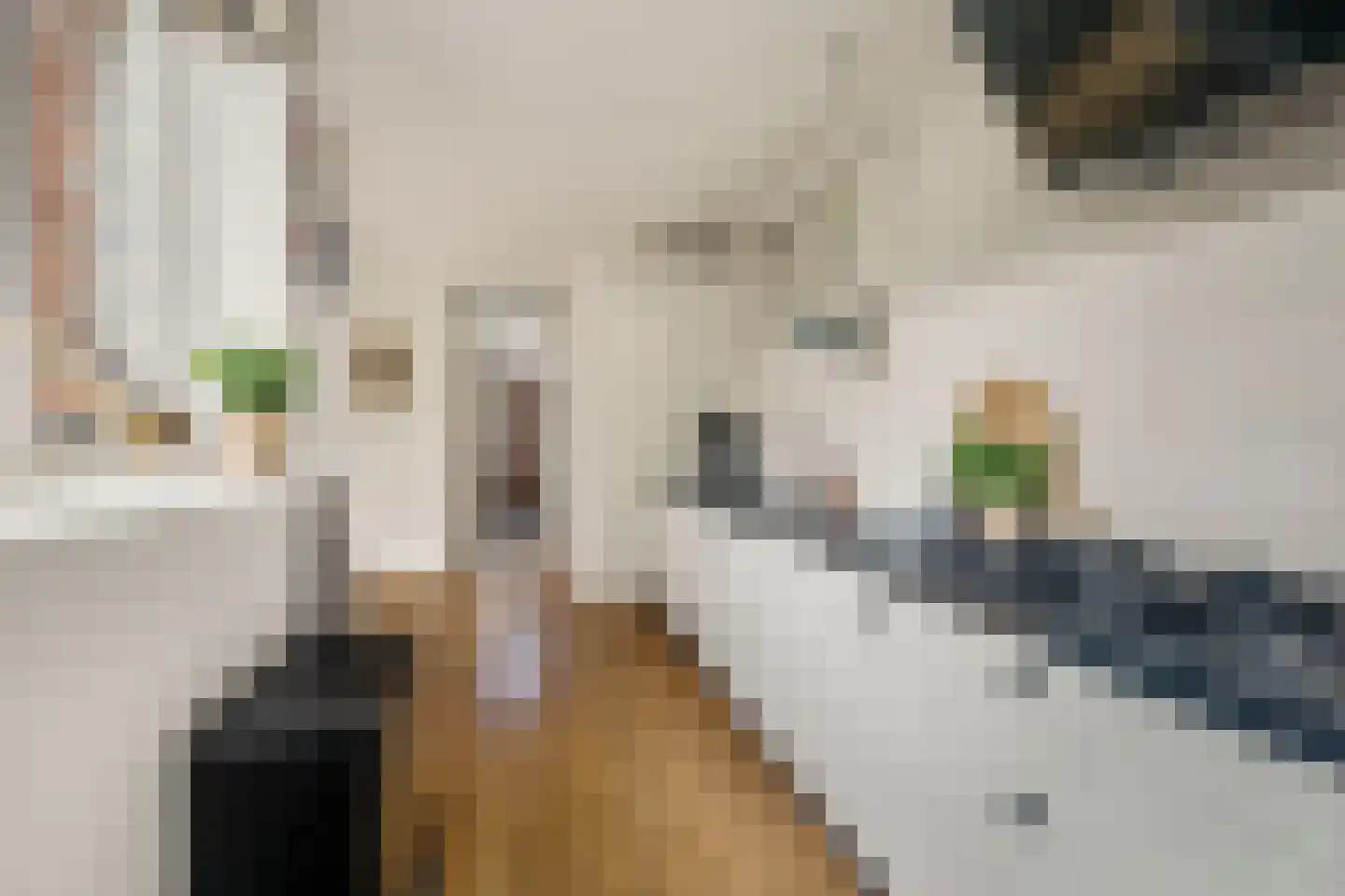Oude Hoeverweg 43 Alkmaar thumbnail 4