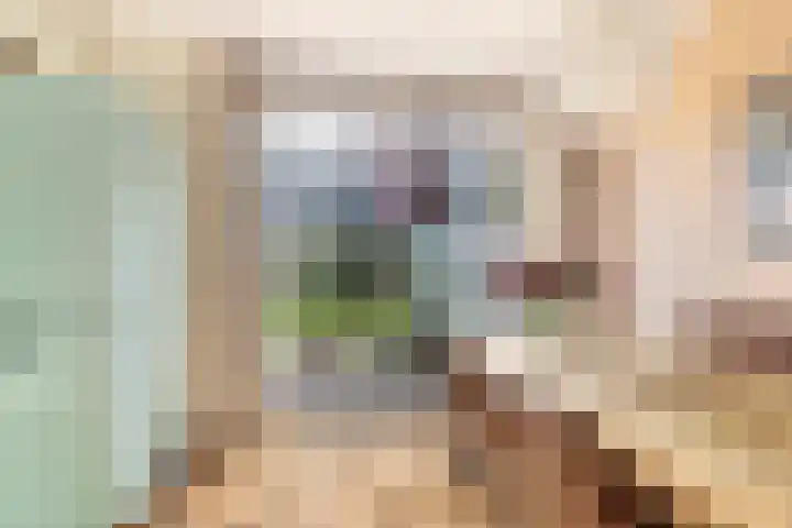 Oude Hoeverweg 47 Alkmaar thumbnail 13