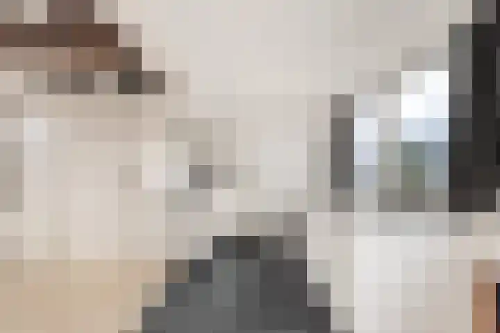 Oude Hoeverweg 47 Alkmaar thumbnail 35