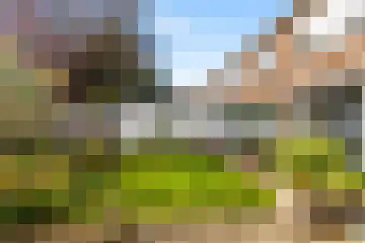 Oude Hoeverweg 47 Alkmaar thumbnail 40