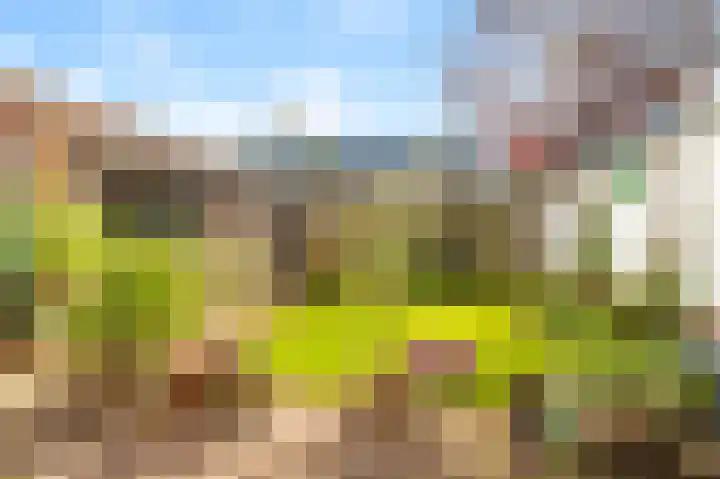 Oude Hoeverweg 47 Alkmaar thumbnail 43