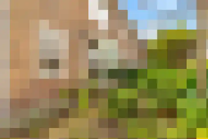 Oude Hoeverweg 47 Alkmaar thumbnail 49