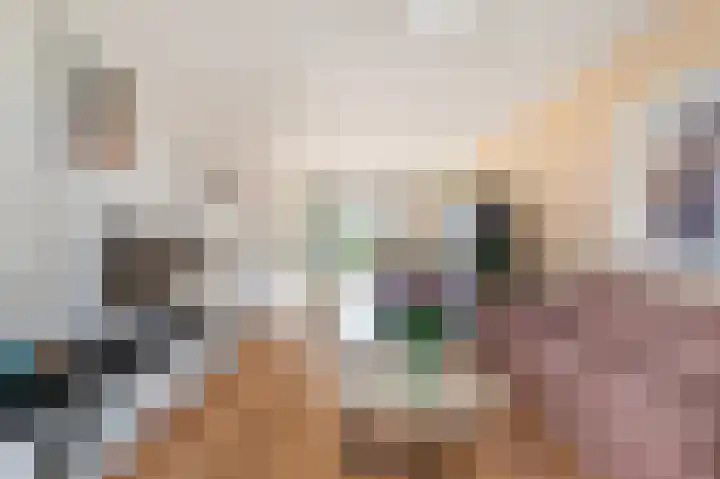 Oude Hoeverweg 47 Alkmaar thumbnail 8