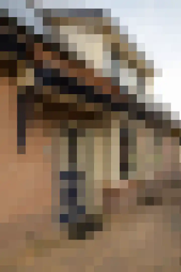Oude Hof 34 Elspeet thumbnail 11