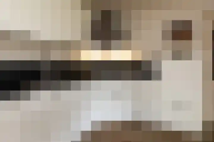 Oude Hof 34 Elspeet thumbnail 13