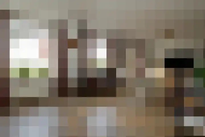 Oude Hof 34 Elspeet thumbnail 22