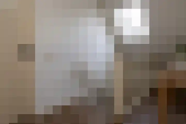 Oude Hof 34 Elspeet thumbnail 33