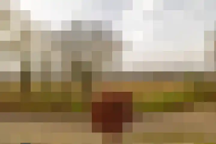 Oude Hof 34 Elspeet thumbnail 39