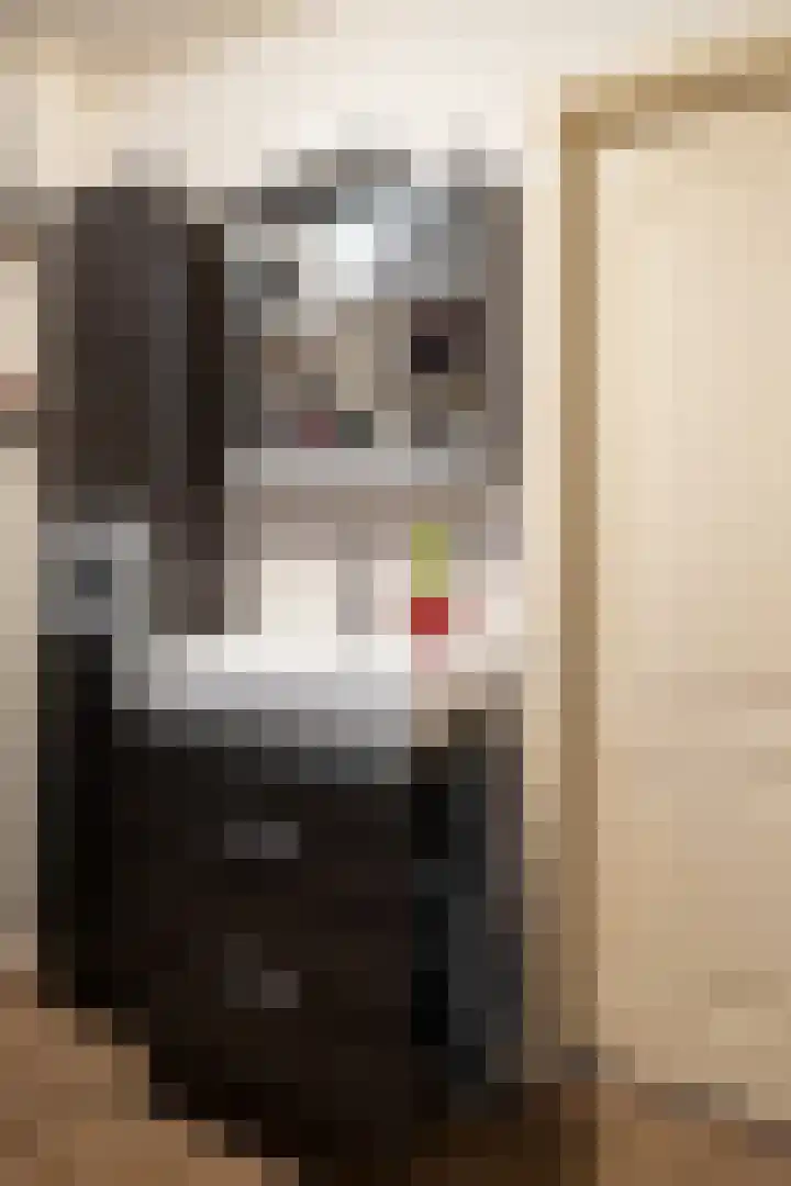Oude Hof 34 Elspeet thumbnail 45