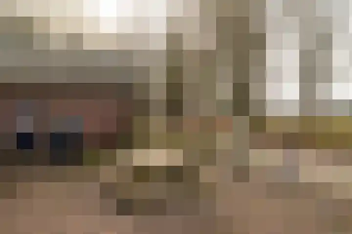 Oude Hof 34 Elspeet thumbnail 51