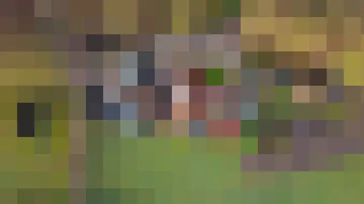 Oude Hof 34 Elspeet thumbnail 52