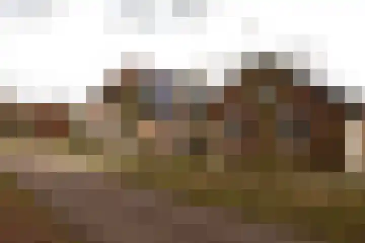 Oude Hof 34 Elspeet thumbnail 6