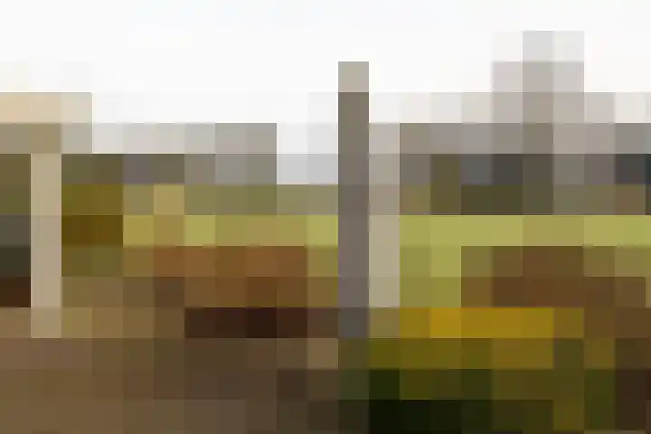 Oude Hof 34 Elspeet thumbnail 8