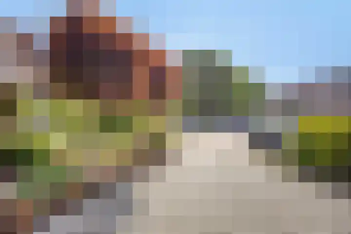 Oude Hof 6 Donkerbroek thumbnail 4