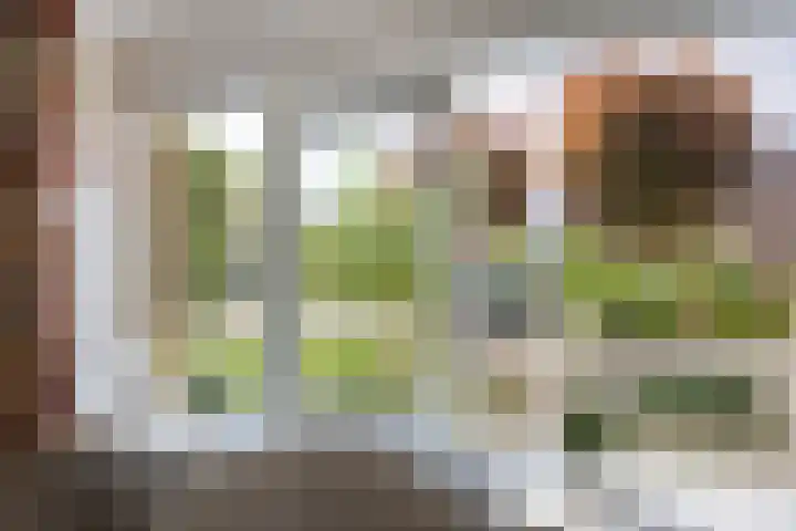 Oude Hof 6 Donkerbroek thumbnail 9