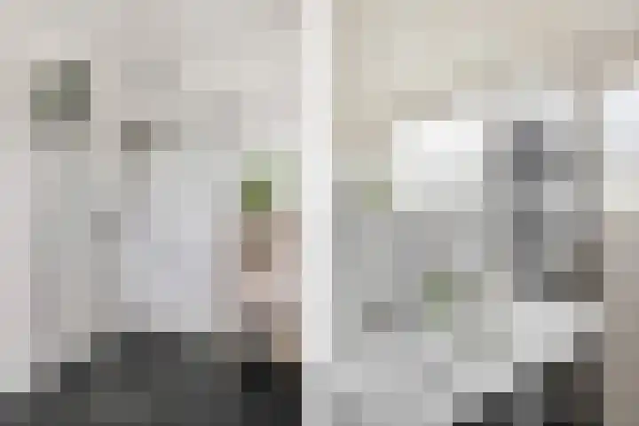 Oude Hof 9 Donkerbroek thumbnail 24