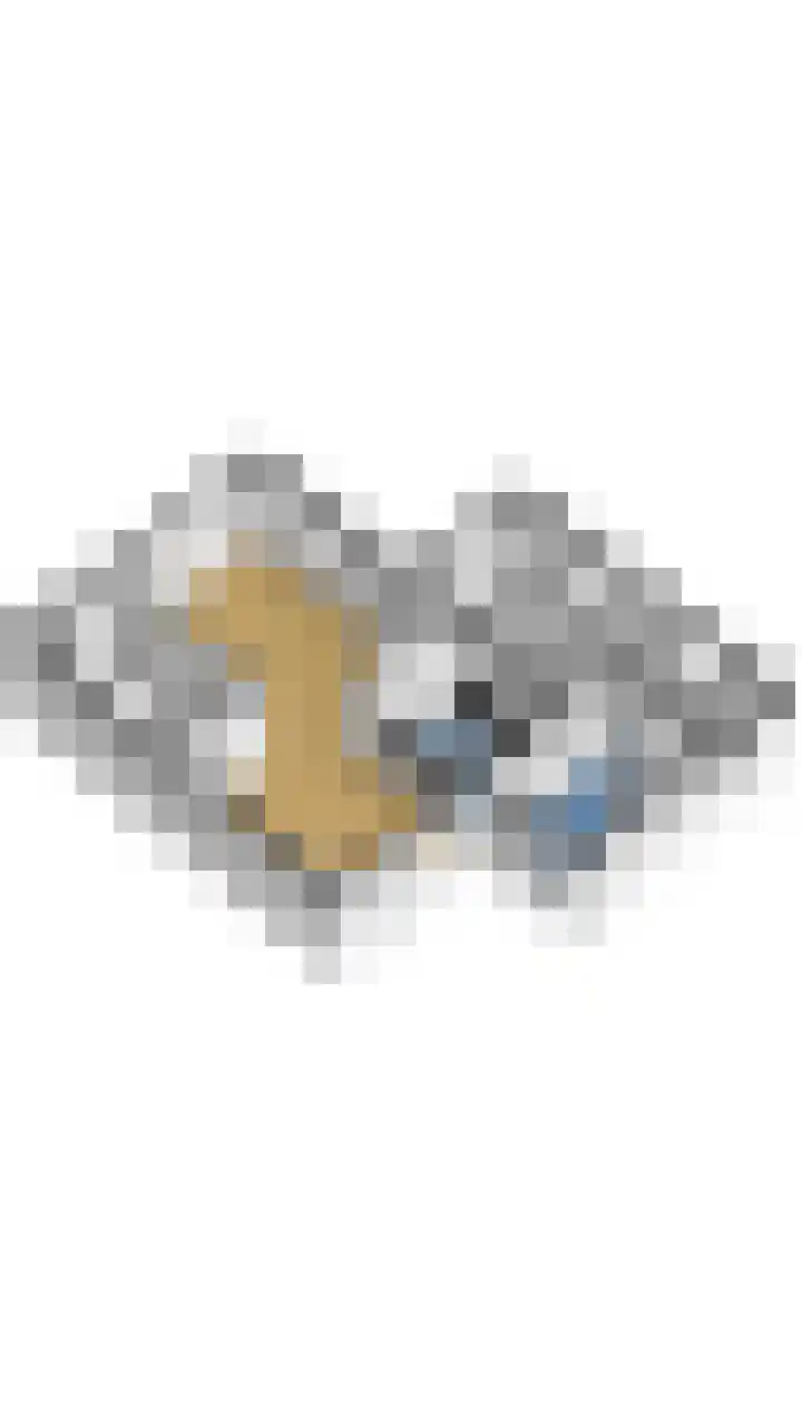Oude Hof 9 Donkerbroek thumbnail 6