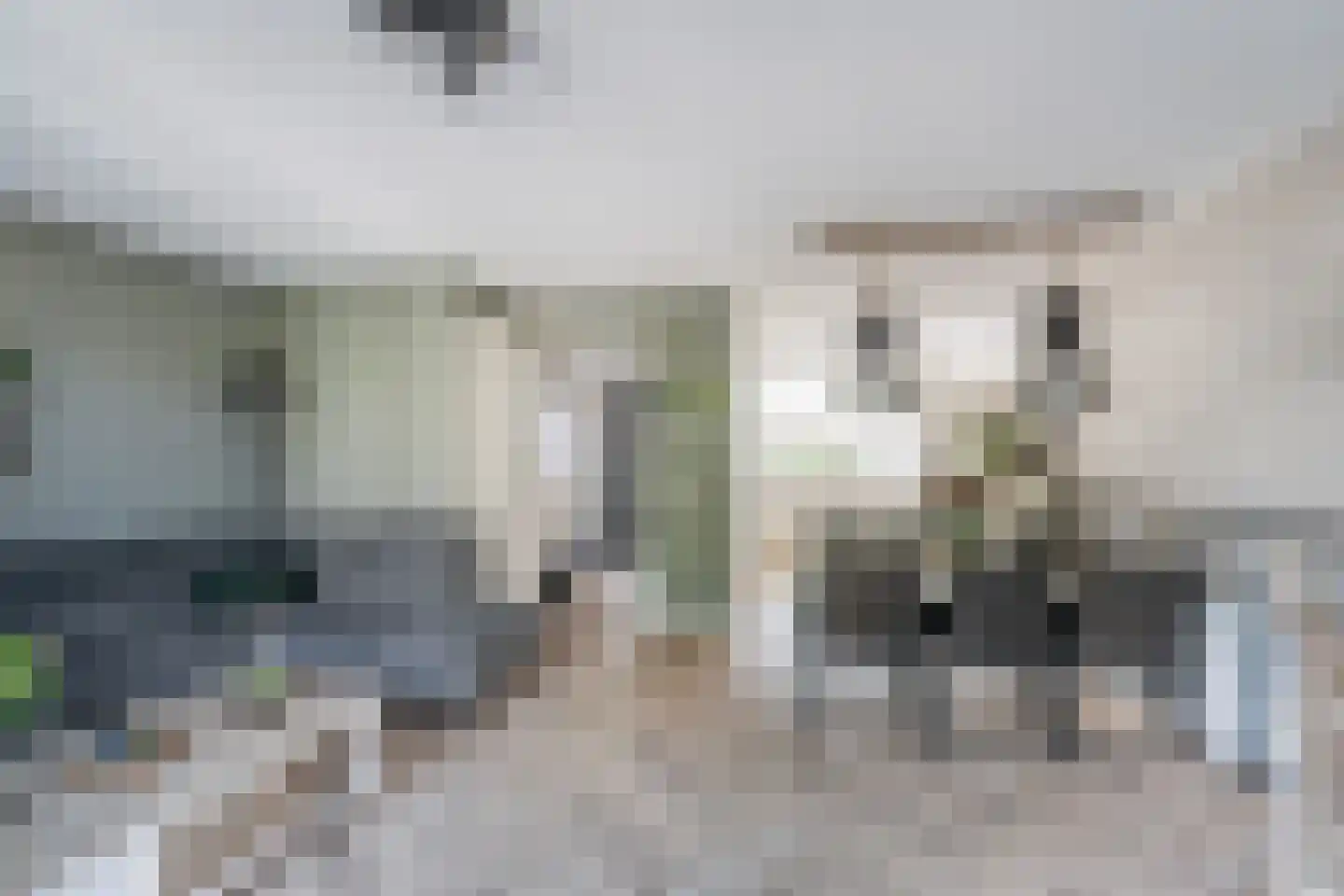 Oude Hoge Dijk 29 Wateringen thumbnail 14