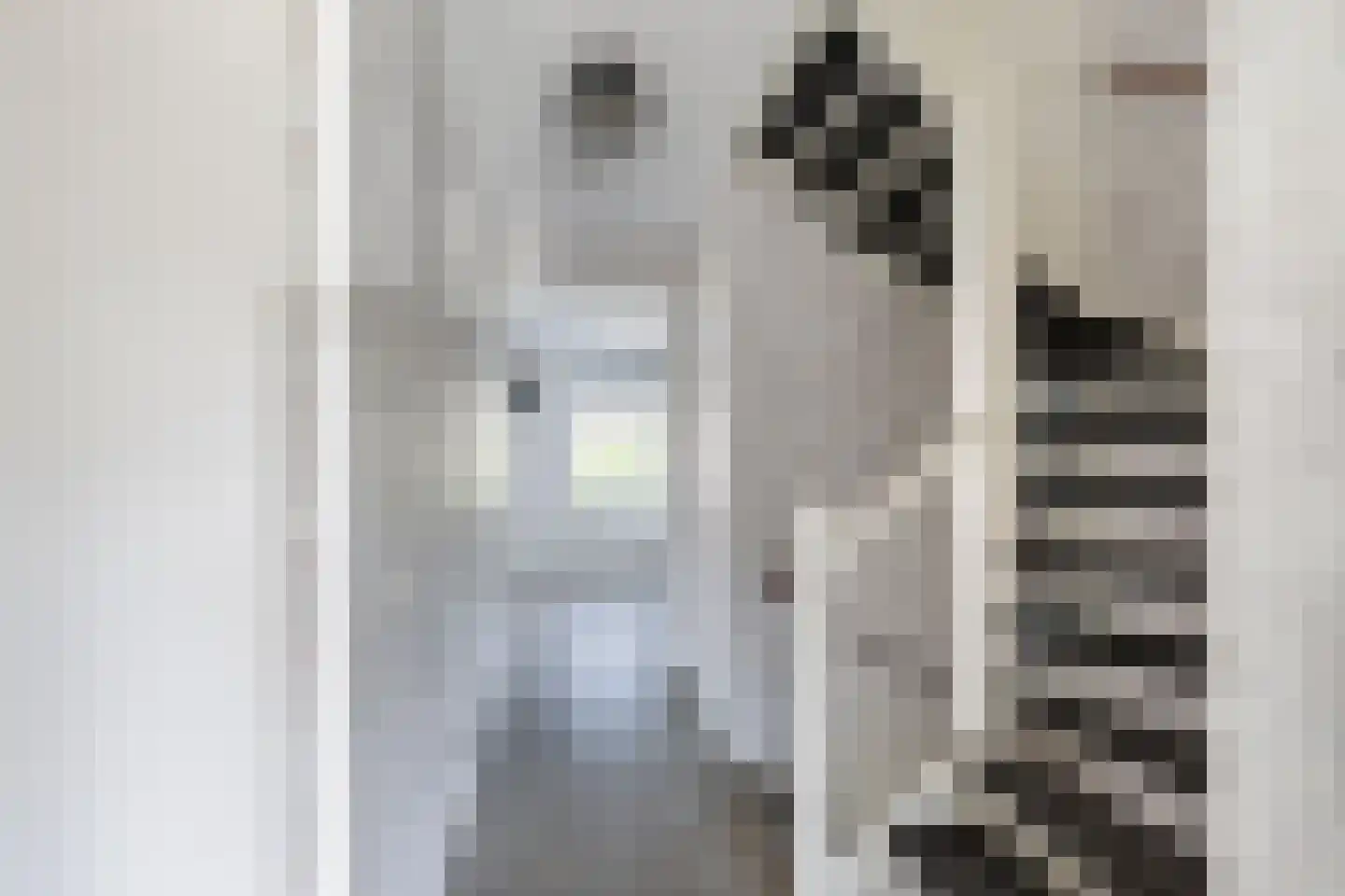 Oude Hoge Dijk 29 Wateringen thumbnail 18
