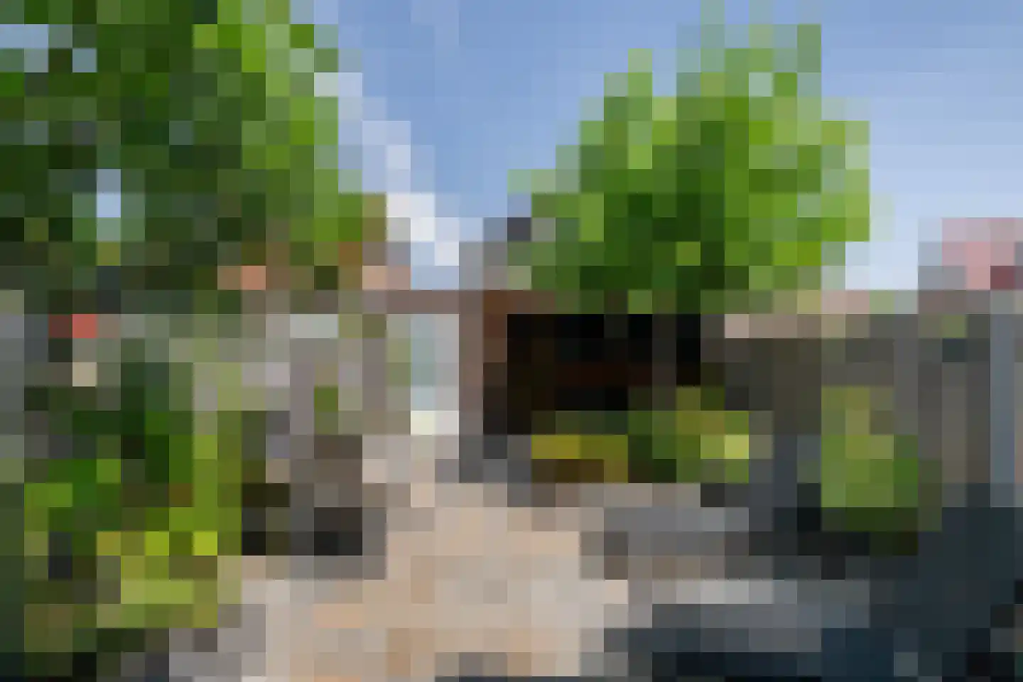Oude Hoge Dijk 29 Wateringen thumbnail 34