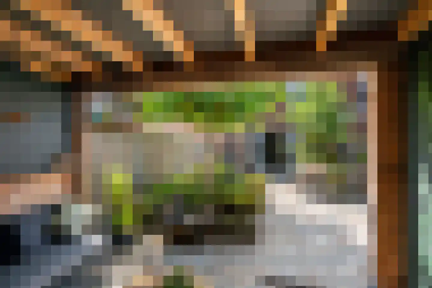 Oude Hoge Dijk 29 Wateringen thumbnail 37