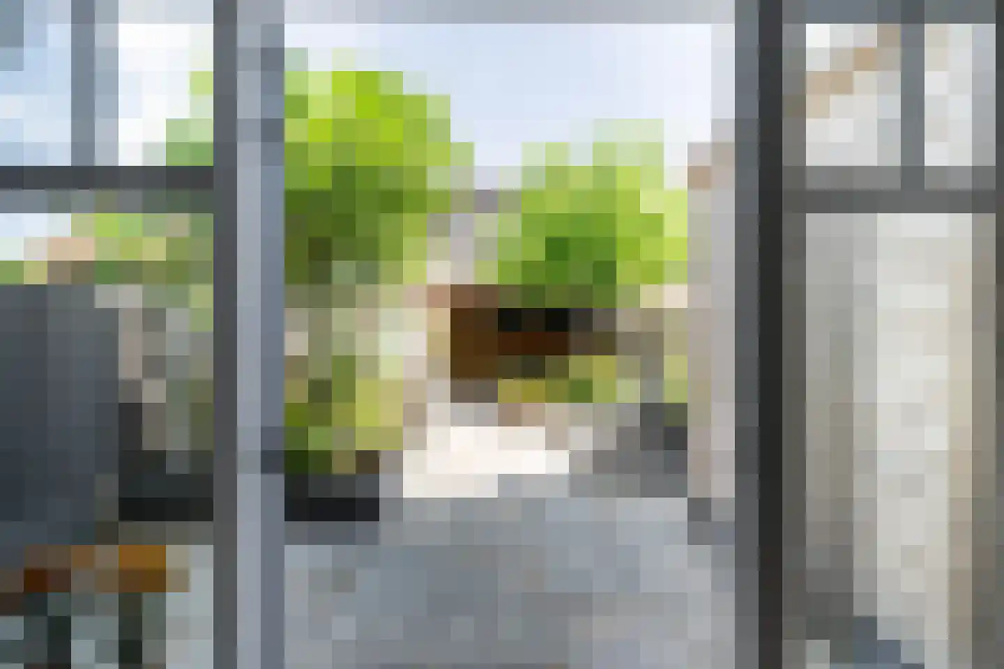 Oude Hoge Dijk 29 Wateringen thumbnail 6
