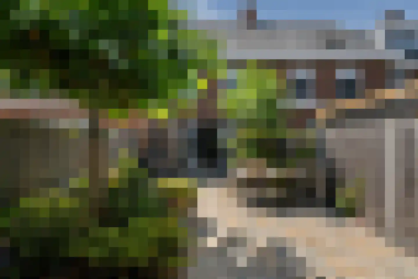 Oude Hoge Dijk 29 Wateringen thumbnail 7