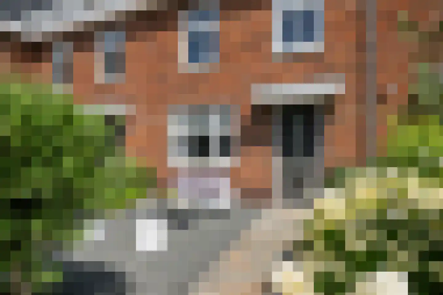 Oude Hoge Dijk 29 Wateringen thumbnail 9