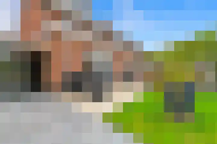 Oude Hoge Dijk 31 Wateringen thumbnail 11